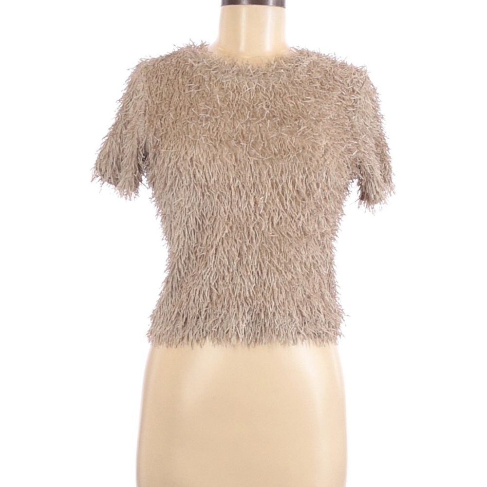 Zara Beige Fuzzy Short-Sleeve Crop Top